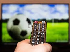 辽宁逆转上,洛夫顿失落,张镇麟艰难,皇冠体育,皇冠体育官网,皇冠体育H5官网