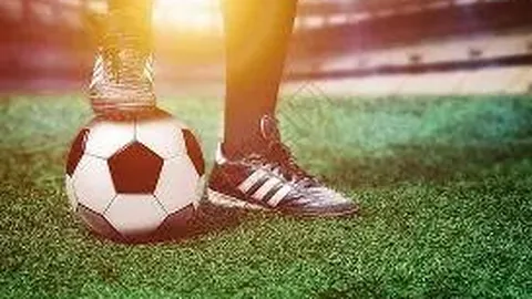 2025年国家队首期集训名单正式公布